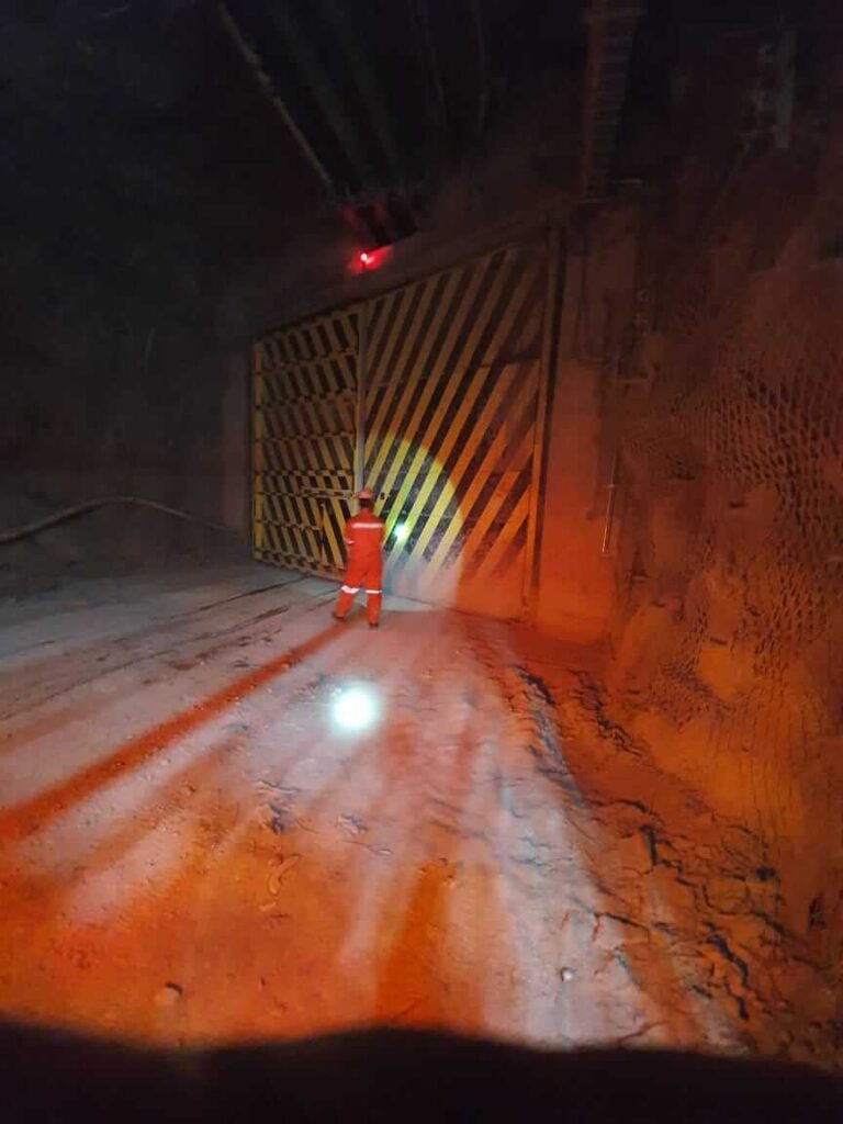 Puertas de Alas Opuestas AMD