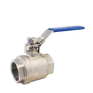 BOLA 2 PC SS316 SOLID BALL NPT - SS316 1000 WOG